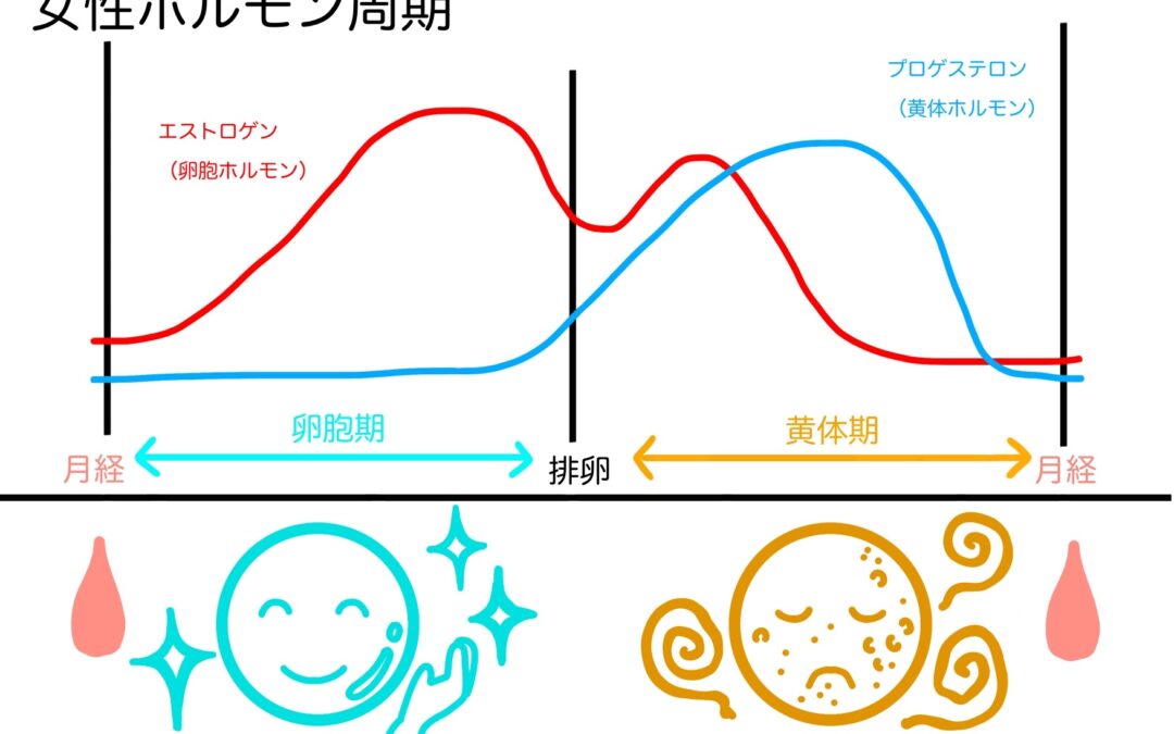 生理周期を味方につけたダイエットのコツ